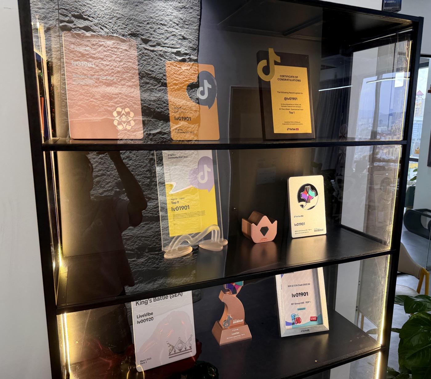 LiveVibe 奖项展示柜